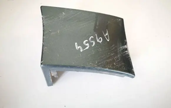 Rear/tail light trim molding