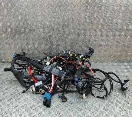 Tesla Model 3 Other wiring loom 306796408D