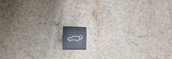 Toyota RAV 4 (XA50) Tailgate opening switch 1D163N F696