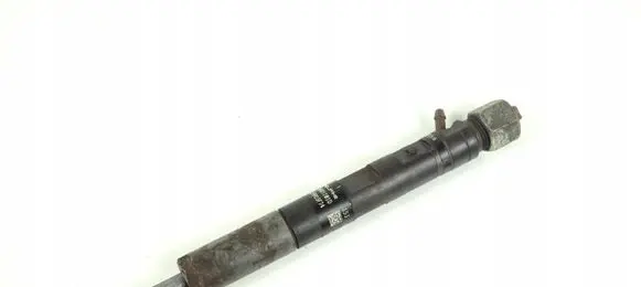 Renault Kangoo I Fuel injector EJBR05101D