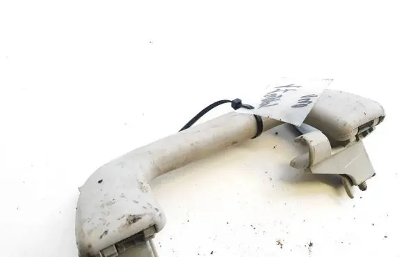 Hyundai Santa Fe Rear interior roof grab handle