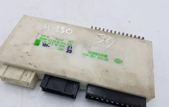 BMW 5 E39 Other control units/modules 6913519 5DK00704728
