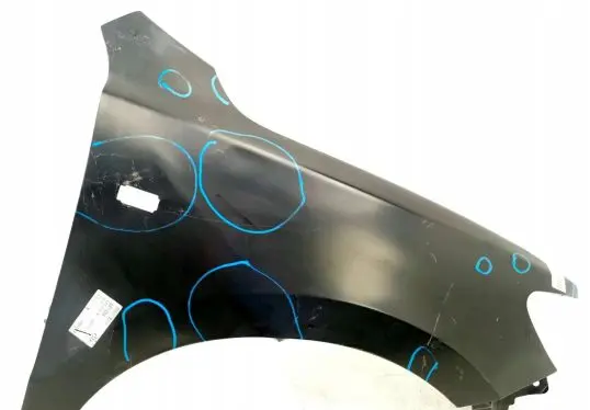 Hyundai Santa Fe Fender 6871006