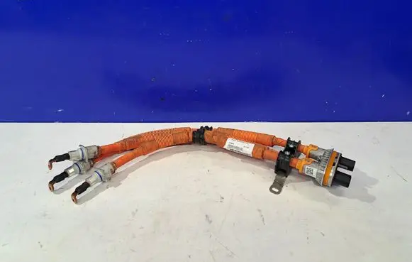 Polestar 2 Plug wire 32286698