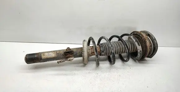 Peugeot 406 Front shock absorber with coil spring