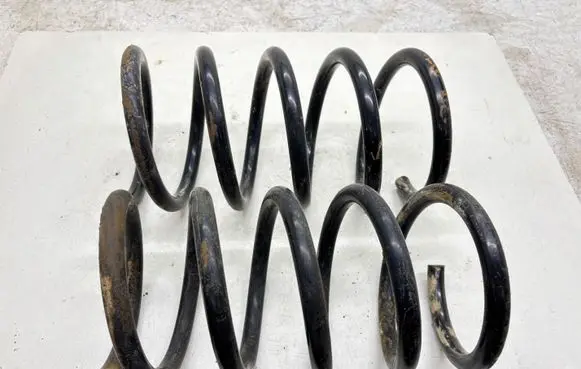 Rear coil spring