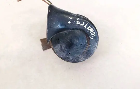 Volkswagen PASSAT B6 Horn signal e1000209