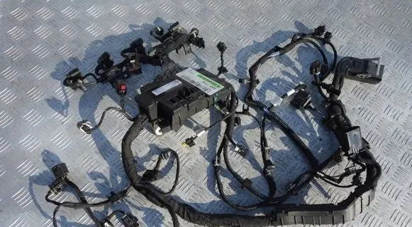 Engine installation wiring loom