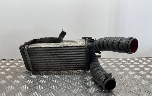 Ford C-MAX II Intercooler radiator 8V619L440CC