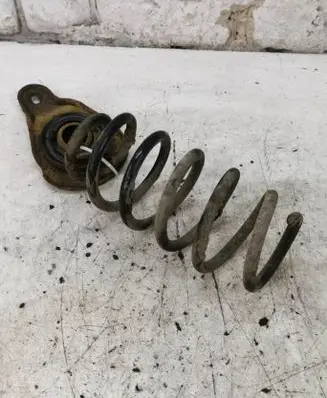 Toyota Avensis T270 Rear coil spring