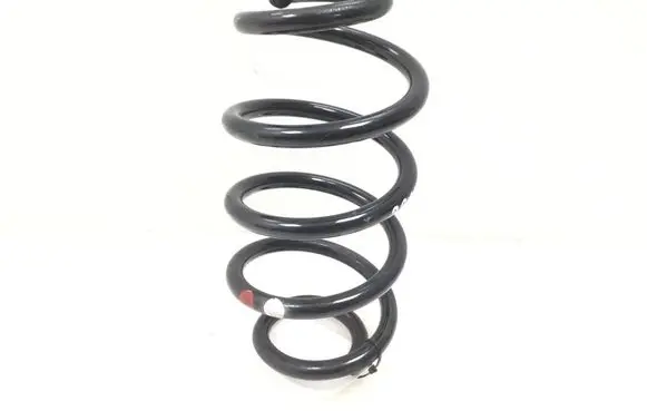 Nissan Juke I F15 Rear coil spring 