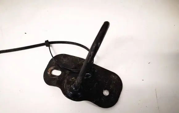 Tesla Model 3 Rear door lock loop/hook striker 164598600A