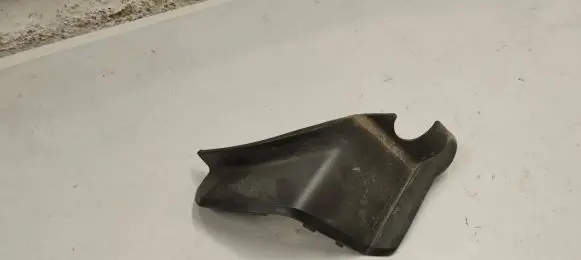 Rear/tail light trim molding