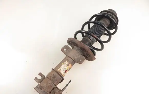 Fiat Bravo Front shock absorber with coil spring 50710778
