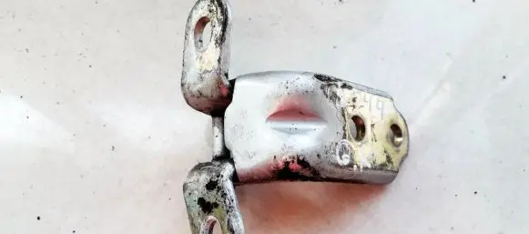 KIA Sportage Rear door lower hinge