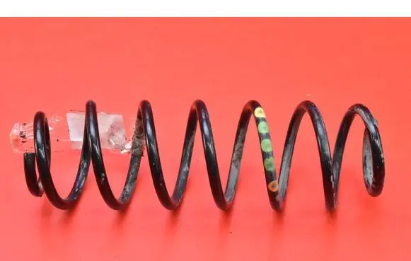 Rear coil spring