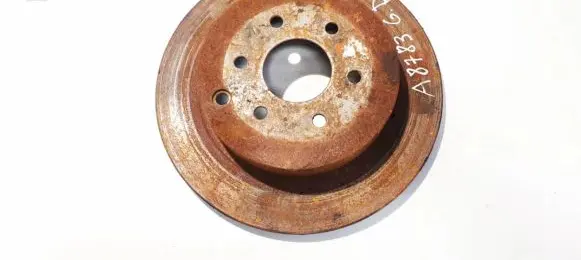 Nissan Pathfinder R51 Rear brake disc ventiliuojamas