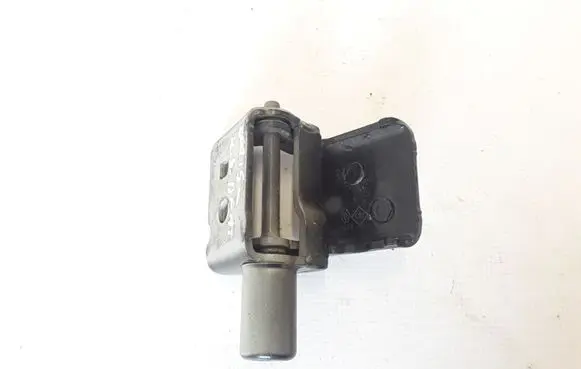 Renault Zoe Rear door lower hinge 824214963R