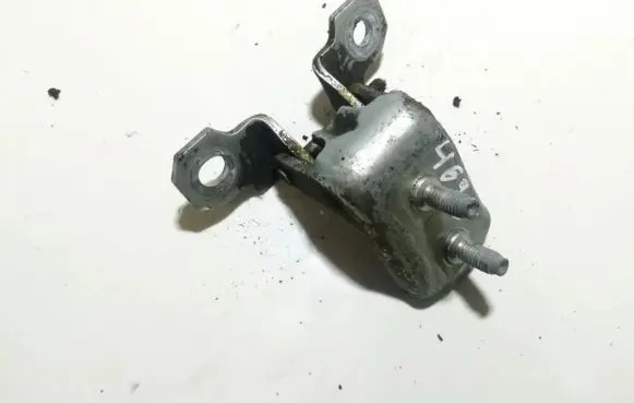 Rear door lower hinge