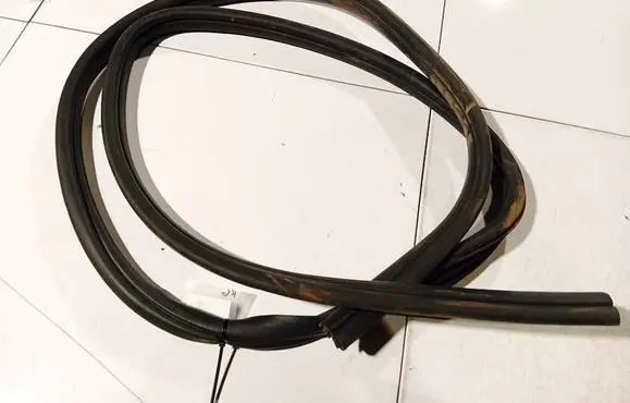 Ford Focus C-MAX Rubber seal rear door 