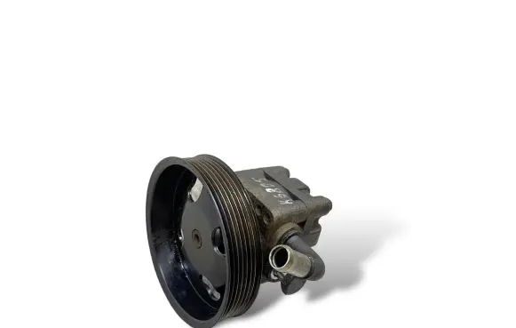 Suzuki Grand Vitara II Power steering pump 4910067J00 75304140