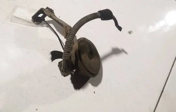 Horn signal