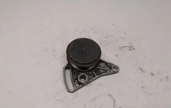 Volkswagen PASSAT B5 Generator/alternator belt tensioner F224041 058260511