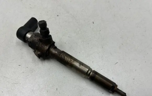 Nissan Qashqai Fuel injector 8200842205