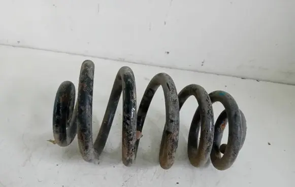 Rear coil spring