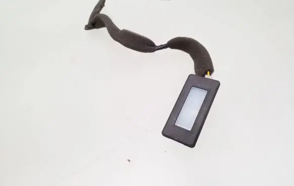 Chevrolet Captiva Other interior light 95134091JB