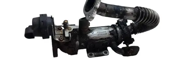 EGR valve cooler