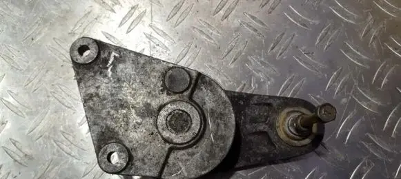 Peugeot 406 Generator/alternator belt tensioner 9626365280