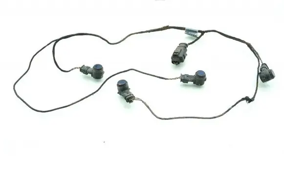Other wiring loom