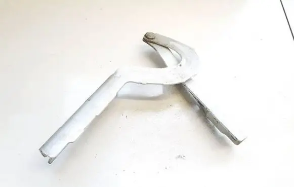 Fiat Scudo Engine bonnet/hood hinges 1499346080