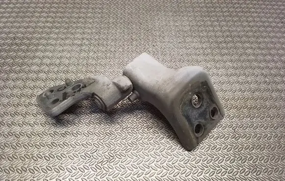 Citroen Berlingo Rear door lower hinge