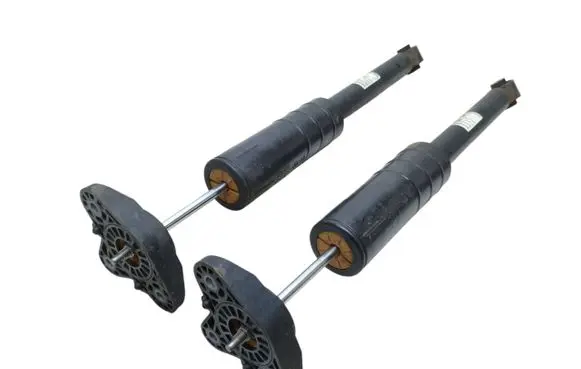 Alfa Romeo Stelvio Rear shock absorber/damper 50559658 844904014524 H104FSDR31