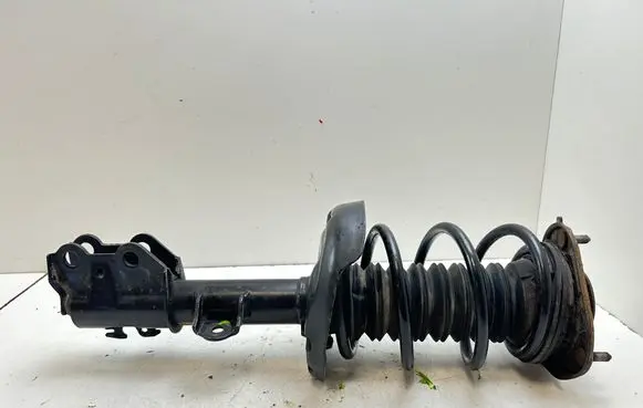 Toyota C-HR I Front shock absorber with coil spring 48510F4021