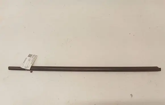 Nissan Juke I F15 Front door glass trim molding 809501KA2A