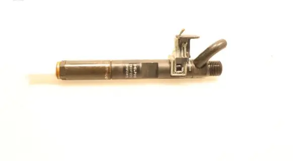 Renault Clio III Fuel injector H8200827965