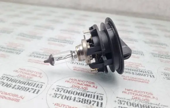 Volkswagen Touran I Headlight/headlamp bulb 1300636277