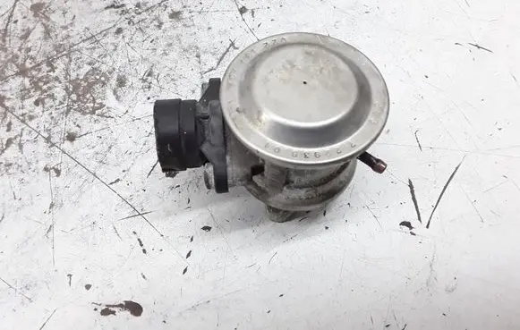 Volkswagen Phaeton EGR valve 022131101