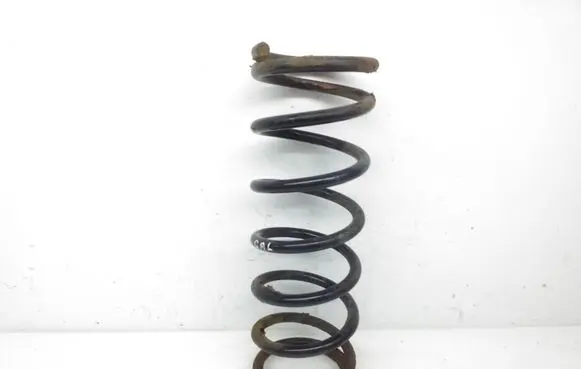 Ford Focus Rear coil spring