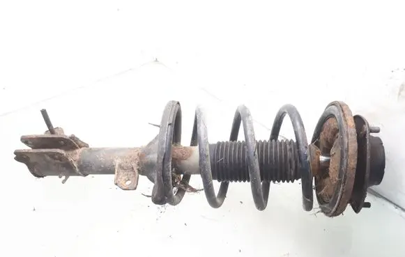 Hyundai Santa Fe Front shock absorber with coil spring