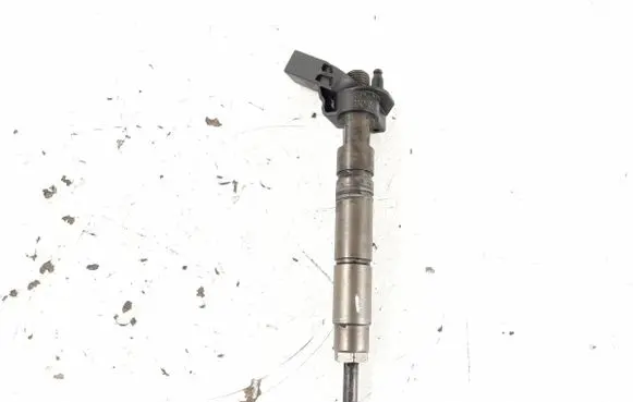 Mercedes-Benz R W251 Fuel injector 6420701387 6420701987
