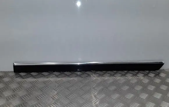 Rear door trim (molding)