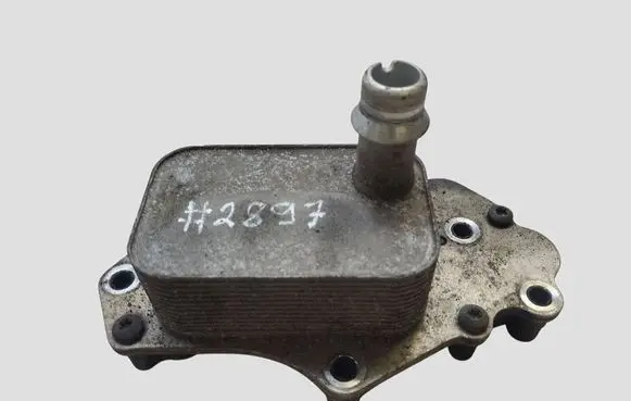 Opel Zafira C Engine oil radiator 55599943 281802049