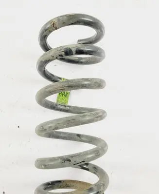 Ford Mustang VI Rear coil spring FR3C5560KC
