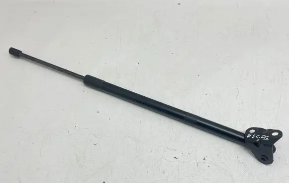 Ford Escape IV Rear shock absorber/damper LJ6BS406A10AE