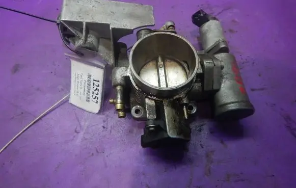 Throttle body valve