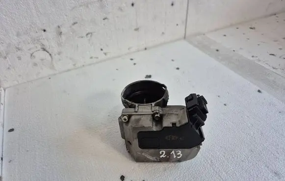 Throttle body valve